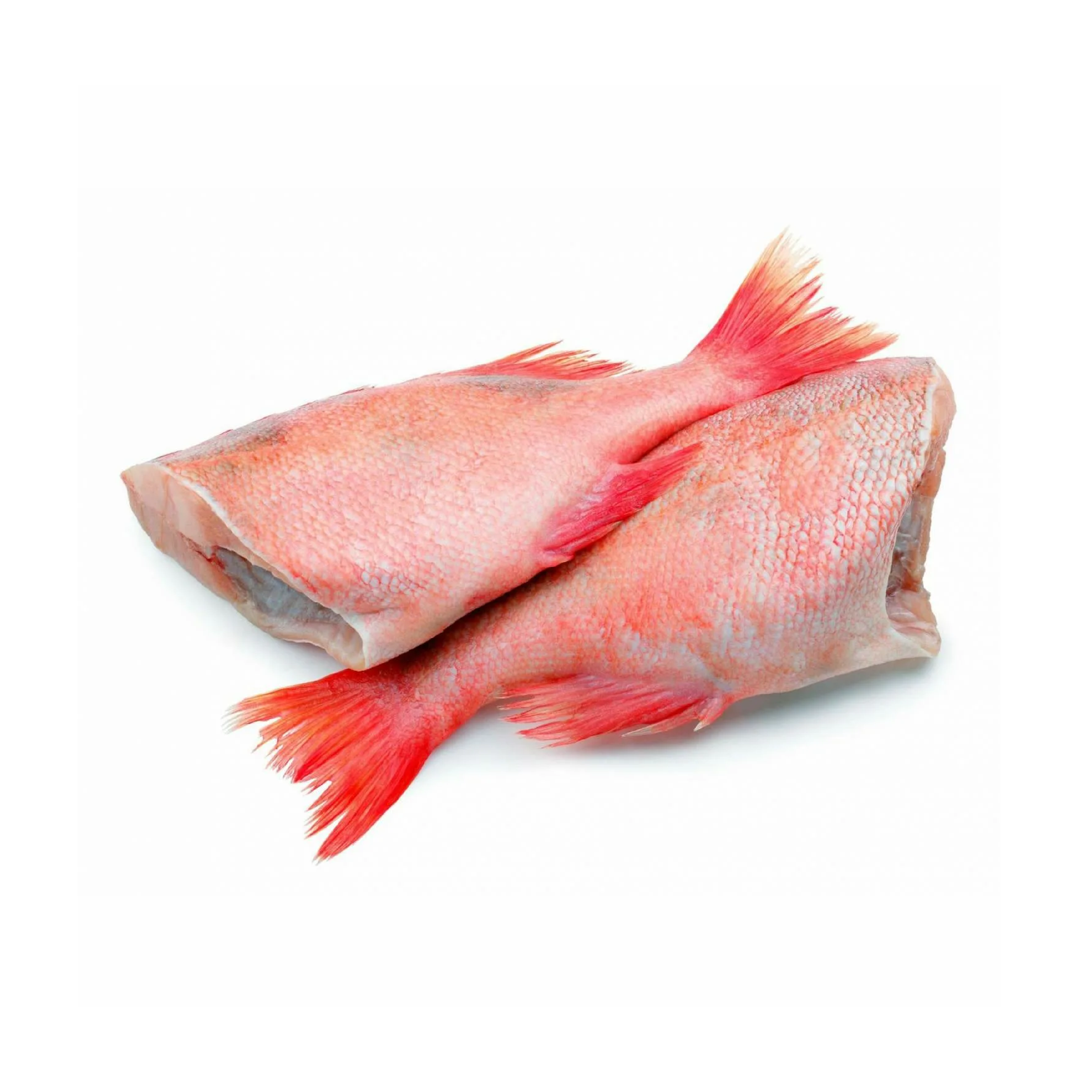 Окунь морской (Клювач)